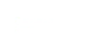 Ceramic Instruments