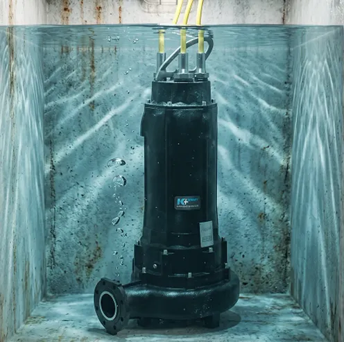 Pompa sommersa Caprari in un vano pieno d'acqua